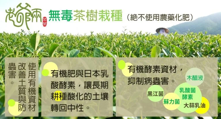 老茶本質好 食在好安心 5 老茶本質好 食在好安心