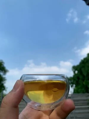 高海拔原始林有機冬茶：圖片 4